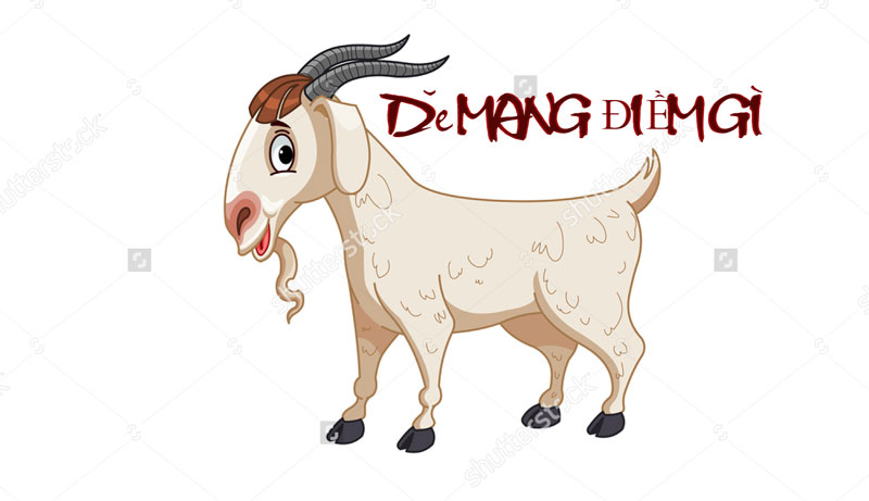 Giải mã giấc mơ thấy Dê, chiêm bao thấy Dê (Mùi) có điềm gì? 2 Ngủ mơ thấy dê