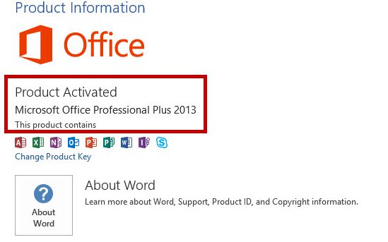 Crack Office 2013 Professional Plus activation