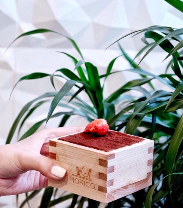 Điểm danh những món ngọt hot nhất tại 3 cửa hàng được mệnh danh "thiên đường tráng miệng" ở Sài Gòn 12 fresh tiramisu 1