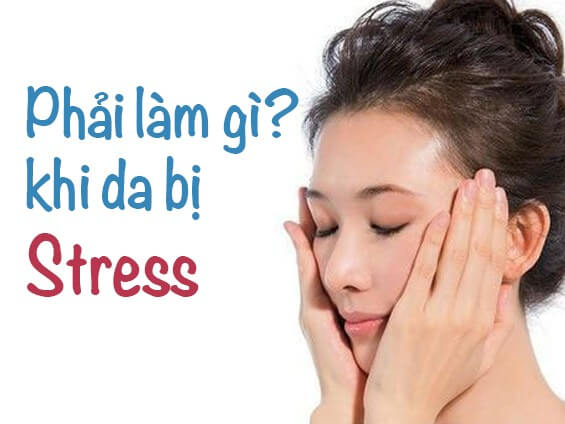 phai lam gi khi da bi stress