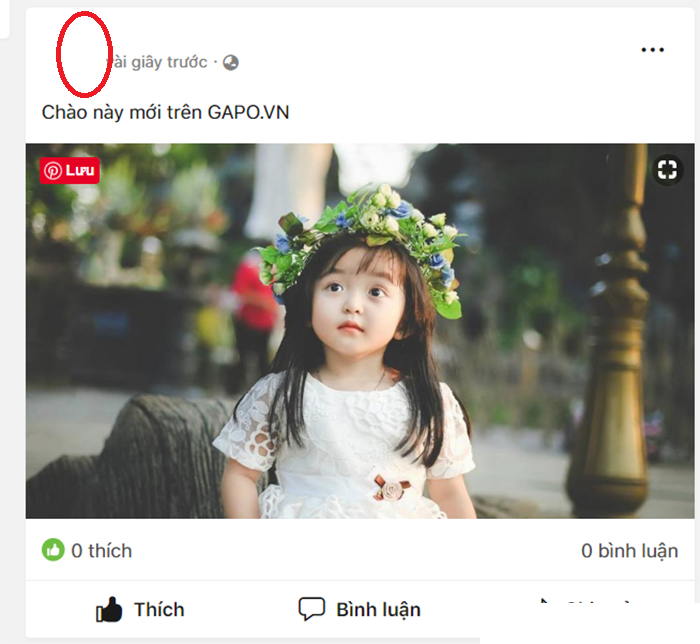 Mạng xã hội GAPO là gì 11 mang xa hoi gap dang bai mtrend