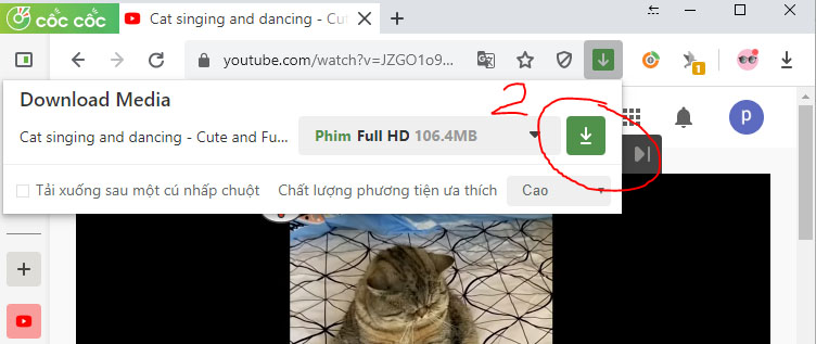 Cách tải video trên YouTube về máy tính bằng Chrome