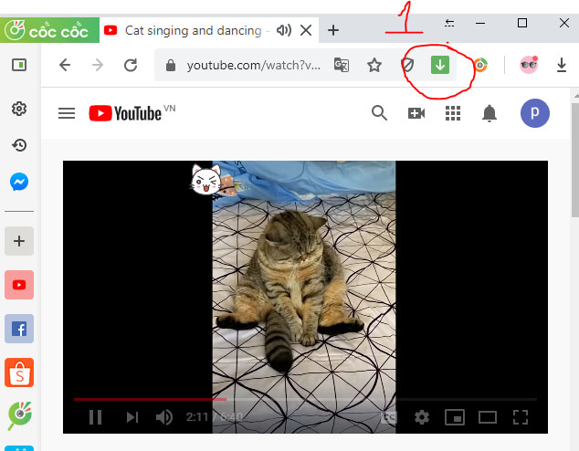Cách tải video trên Youtube về máy tính