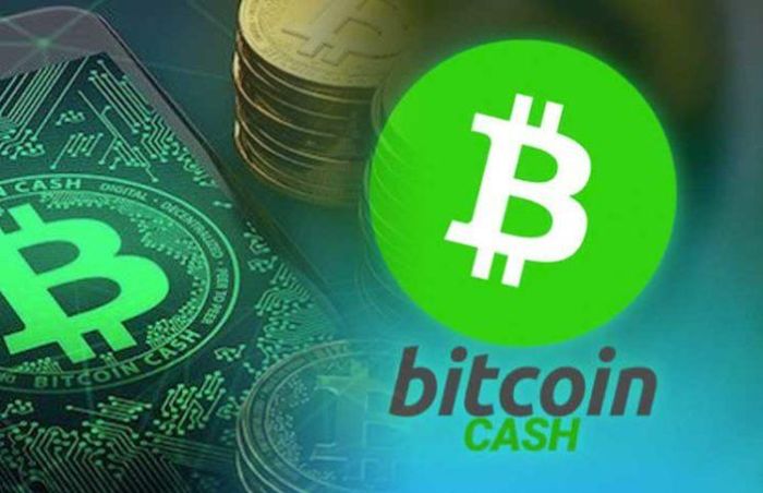 Top 5 đồng tiền điện tử mạnh nhất nên đầu tư 4 Nhiều giao dịch Bitcoin Cash sẽ được xử lý với hiệu quả cao hơn mà chi phí thấp hơn