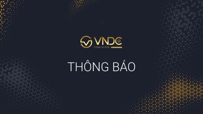 VNDC – Hướng dẫn cách kiếm tiền nhanh chóng và đơn giản 1 Dự án tiền điện tử trong tương lai