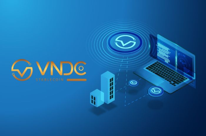 Có nhiều cách đầu tư VNDC