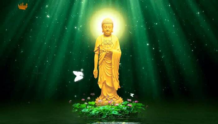 Lợi Ích Của Bát Nhã Tâm Kinh Là Gì? 3 Việc tụng Bát Nhã Tâm Kinh thường xuyên có thể giúp định tâm, mở mang trí tuệ